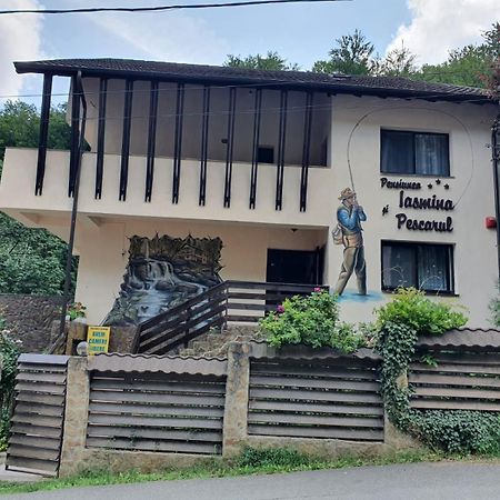 Pensiunea Iasmina Si Pescarul Călimăneşti Exteriér fotografie