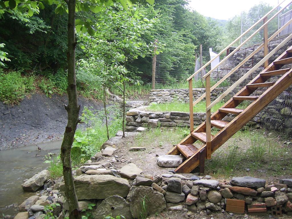 Pensiunea Iasmina Si Pescarul Călimăneşti Exteriér fotografie