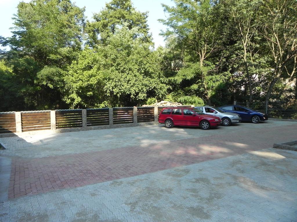 Pensiunea Iasmina Si Pescarul Călimăneşti Exteriér fotografie
